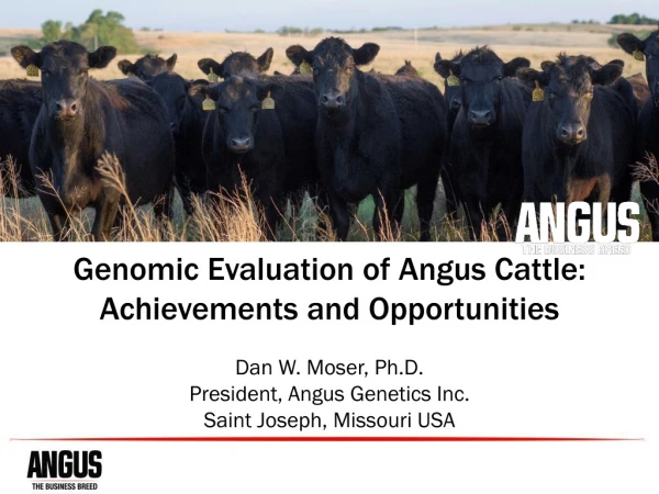 Genomic Evaluation of Angus Cattle: Achievements and Opportunities