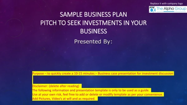 Sample business plan pitch to seek investments in your business