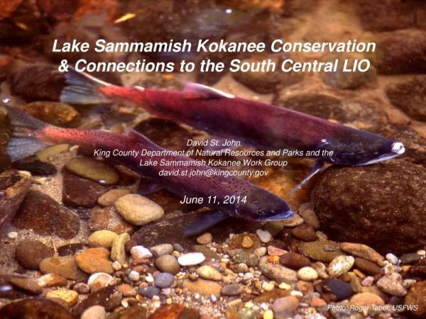 Lake Sammamish Kokanee Conservation &amp; Connections to the South Central LIO David St. John