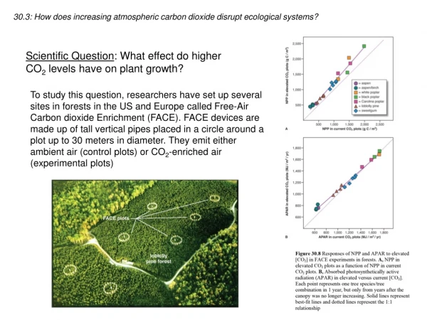 30.3: How does increasing atmospheric carbon dioxide disrupt ecological systems?