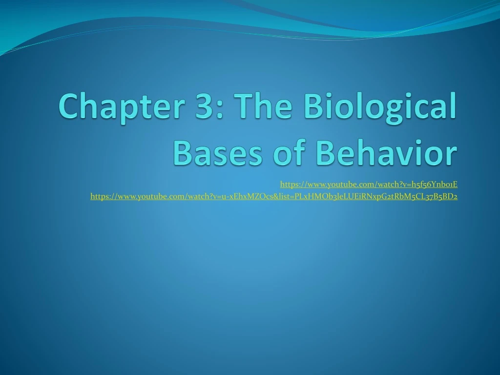 chapter 3 the biological bases of behavior