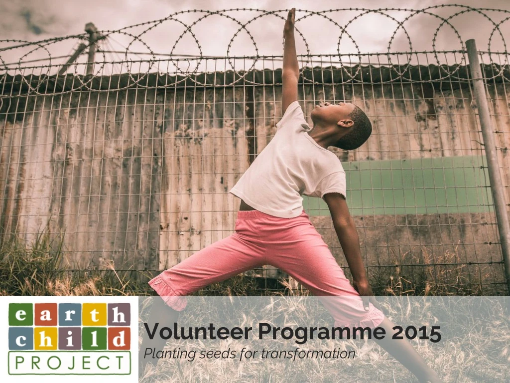 volunteer programme 2015 planting seeds for transformation