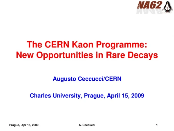 The CERN Kaon Programme: New Opportunities in Rare Decays