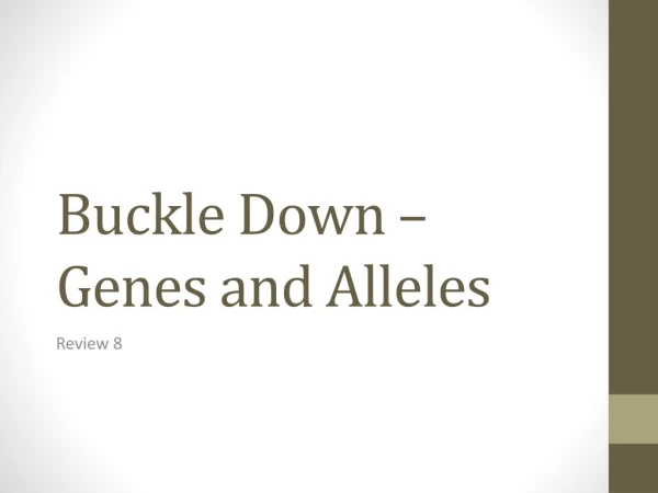 Buckle Down – Genes and Alleles