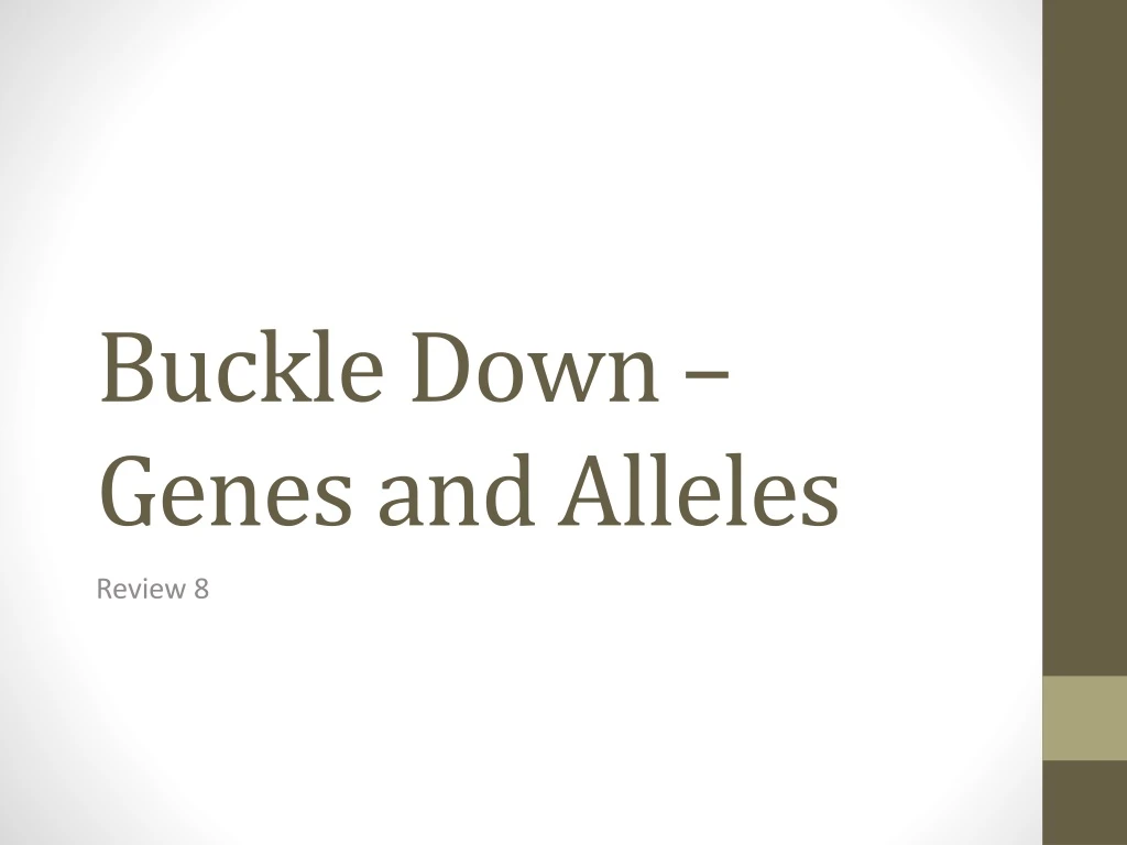 buckle down genes and alleles