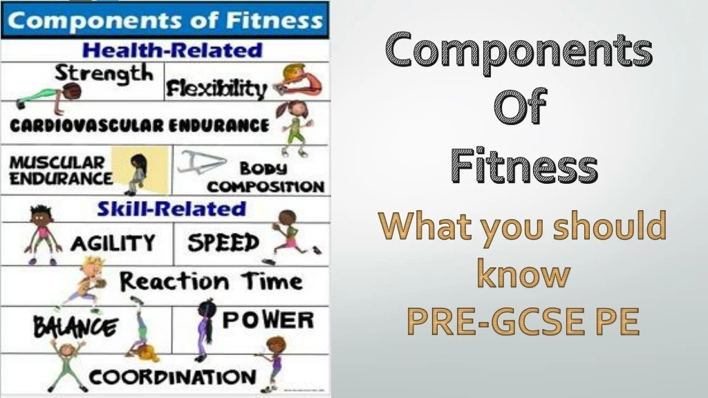 components of fitness