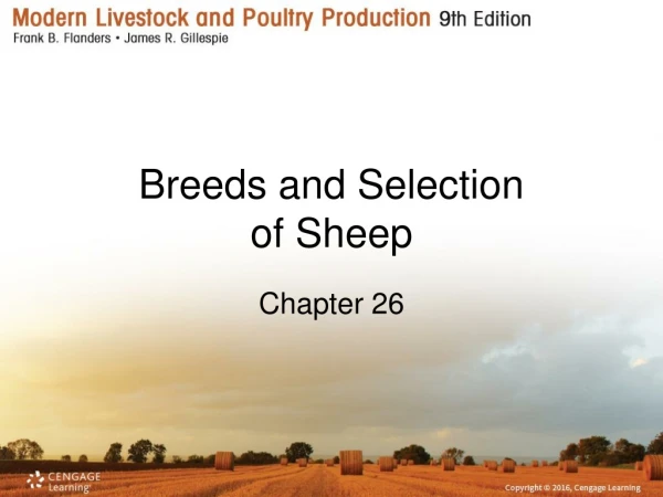Breeds and Selection of Sheep