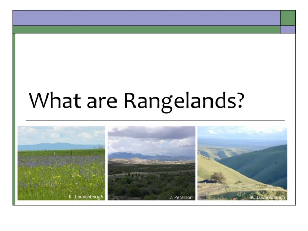 What are Rangelands?