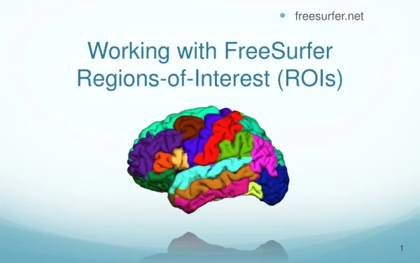 Working with FreeSurfer Regions-of-Interest (ROIs)