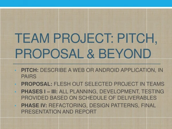 Team Project: PITCH, PROPOSAL &amp; BEYOND
