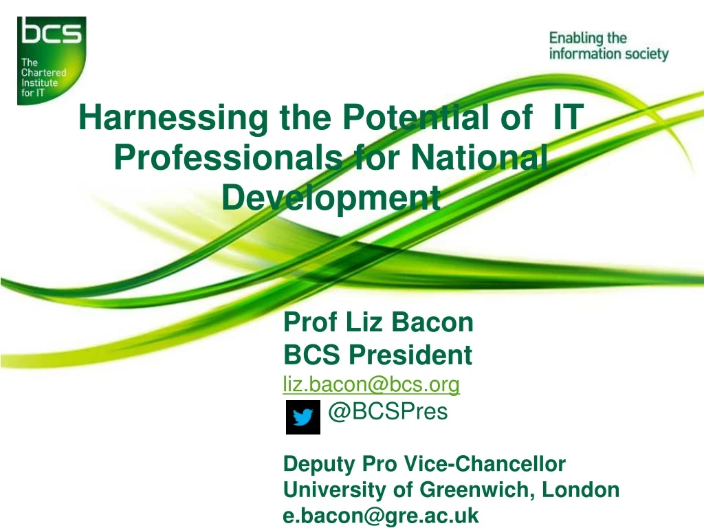 harnessing the p otential of it professionals for national development
