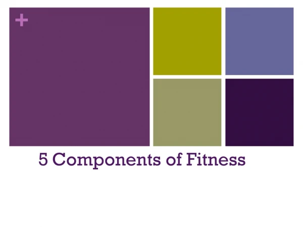 5 Components of Fitness