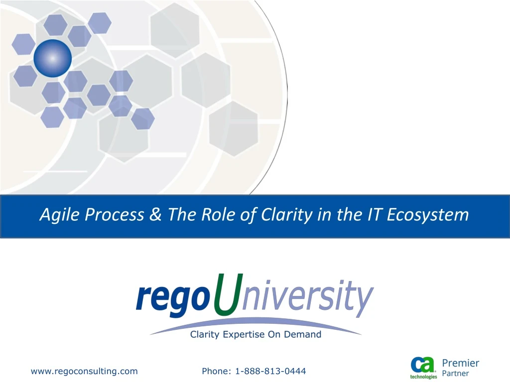 agile process the role of clarity in the it ecosystem