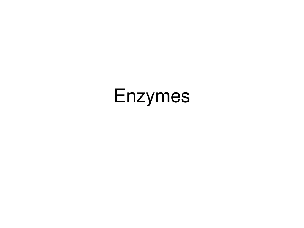 enzymes