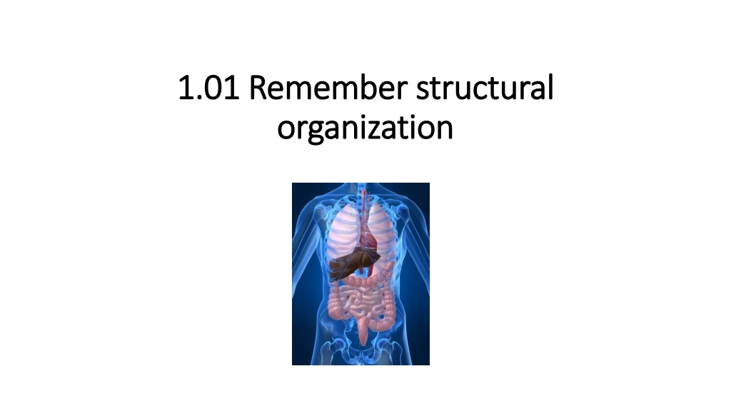 1 01 remember structural organization