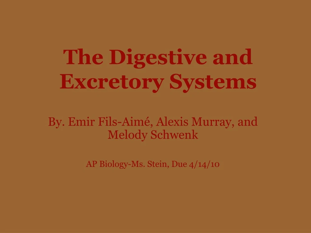 the digestive and excretory systems