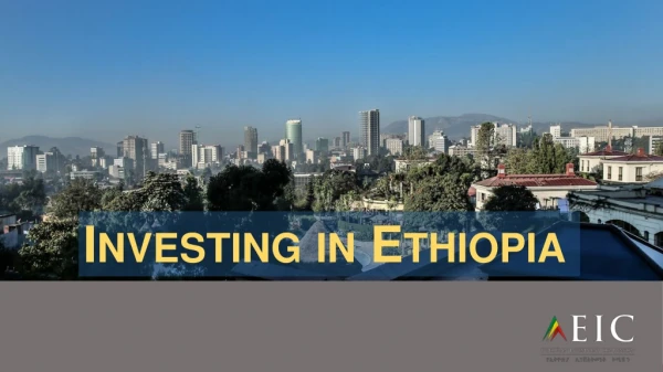 Investing in Ethiopia