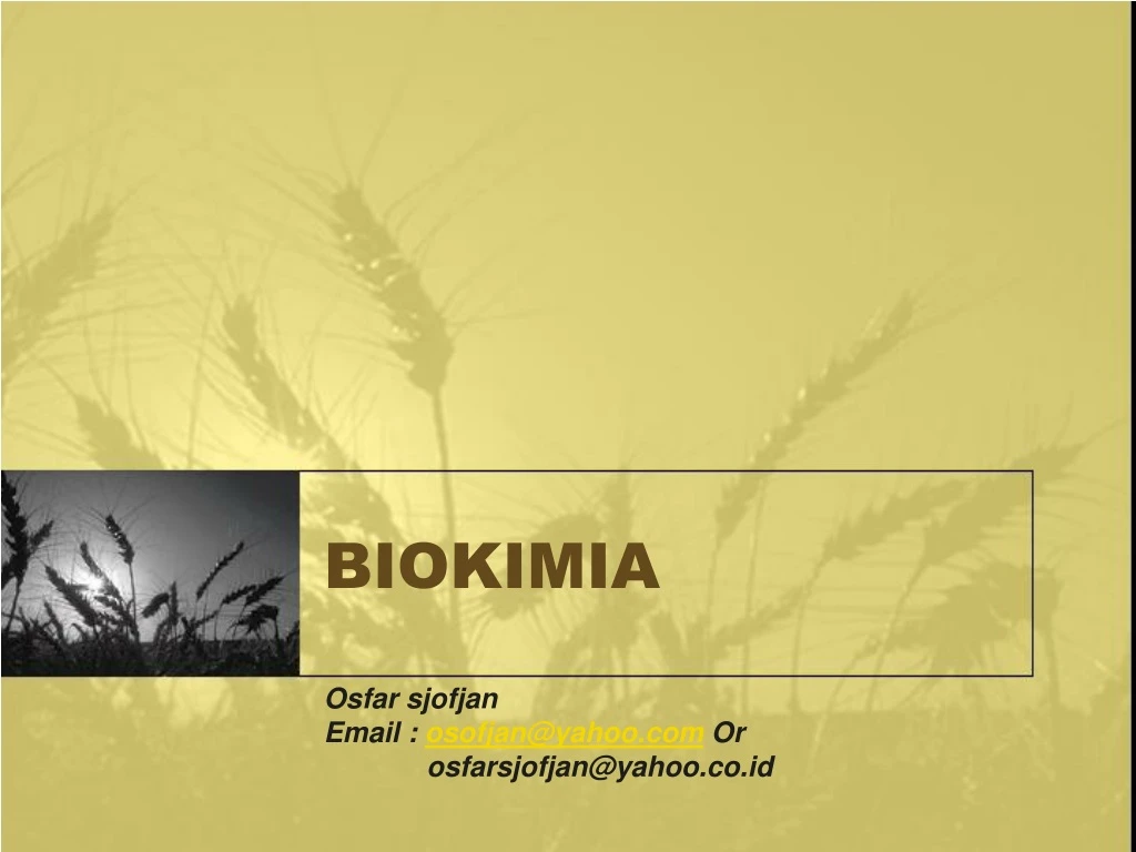 biokimia