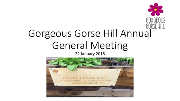 Gorgeous Gorse Hill Annual General Meeting
