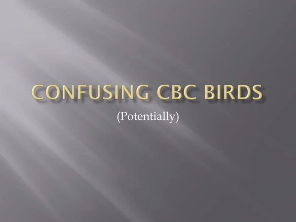 Confusing CBC Birds