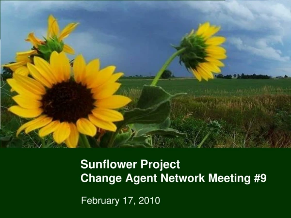 Sunflower Project Change Agent Network Meeting #9