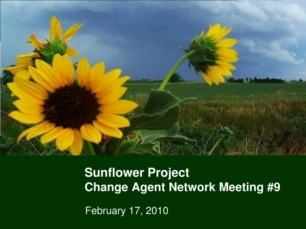 sunflower project change agent network meeting 9