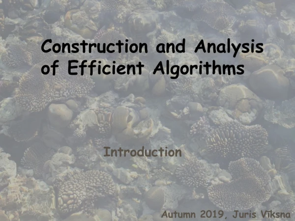Construction and Analysis of Efficient Algorithms