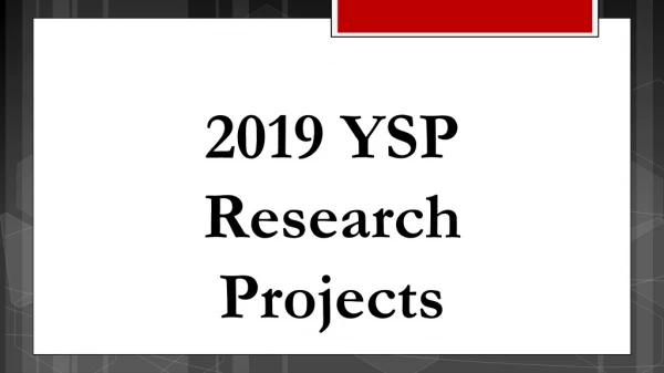 2019 YSP Research Projects