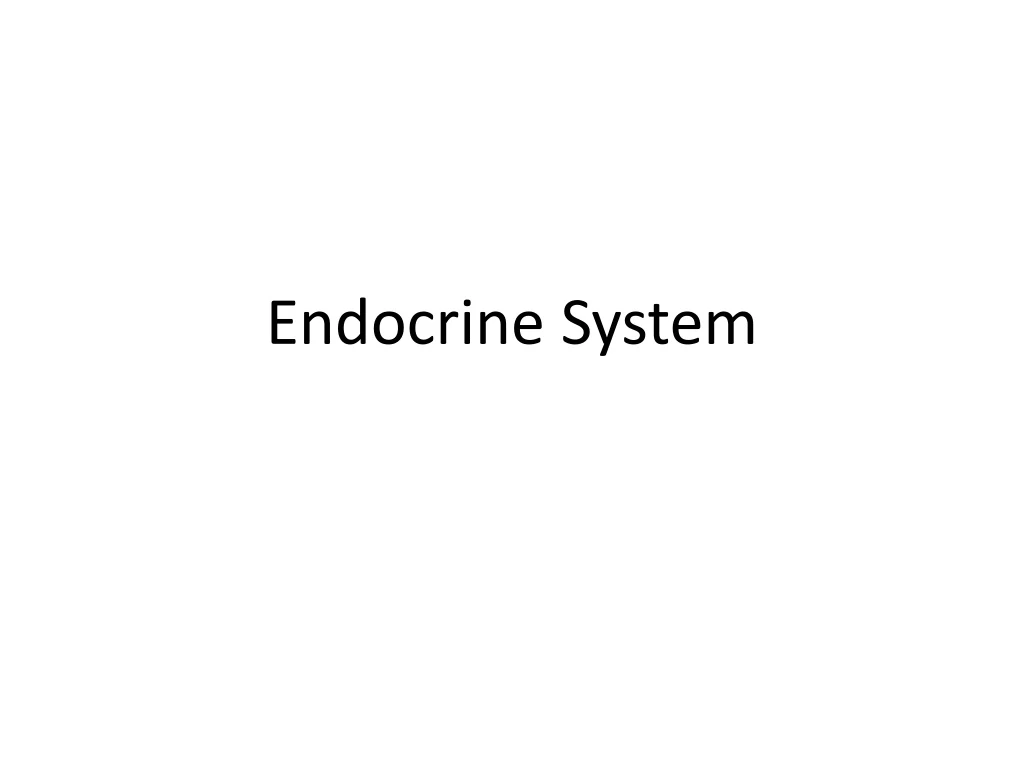 endocrine system