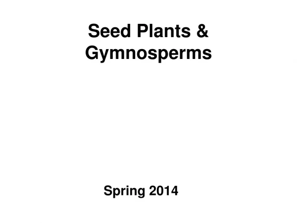 Seed Plants &amp; Gymnosperms