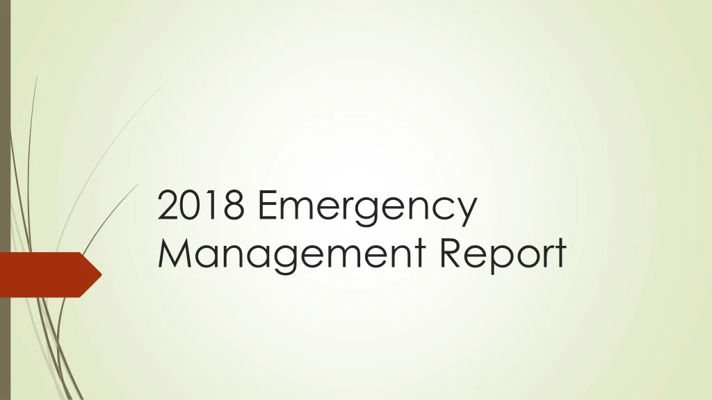 2018 emergency management report