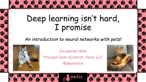Deep learning isn’t hard, I promise An introduction to neural networks with pets!