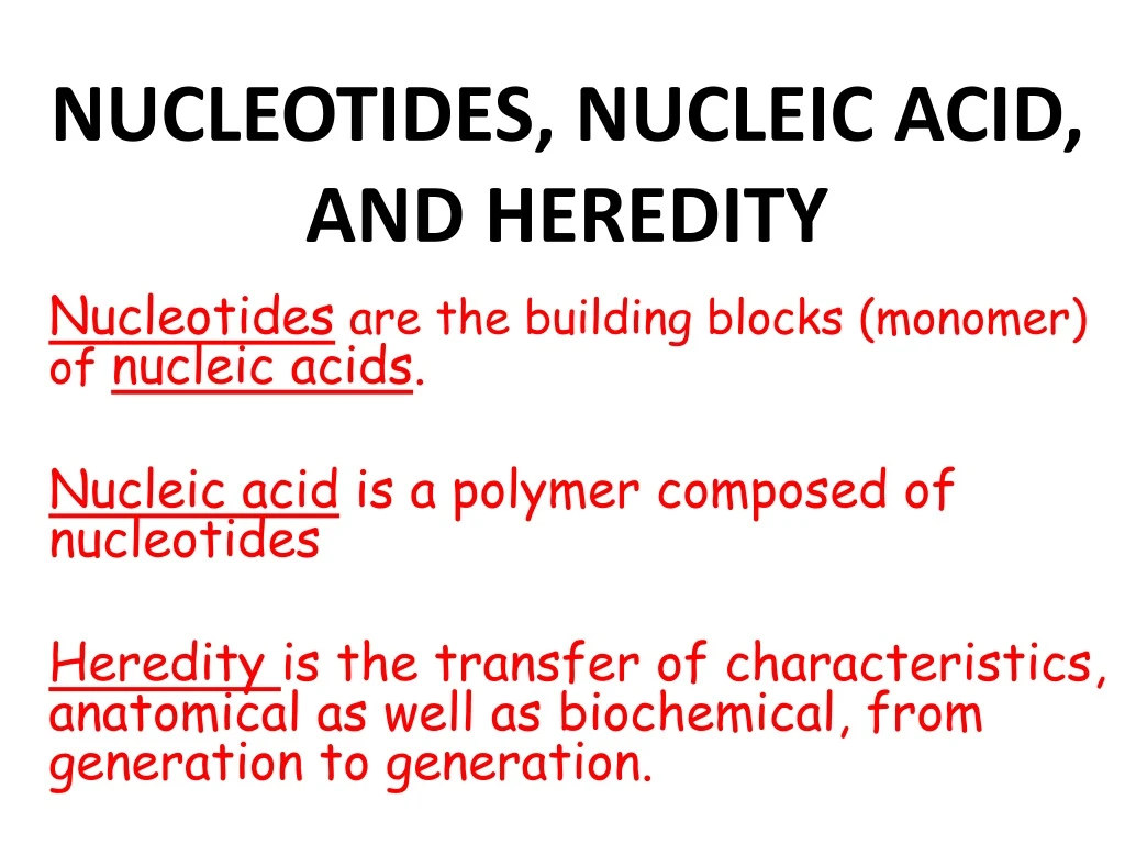 nucleotides nucleic acid and heredity