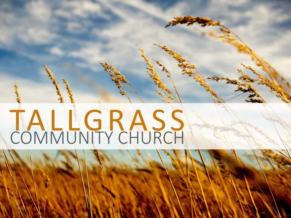 tallgrass