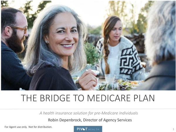 The Bridge To Medicare Plan