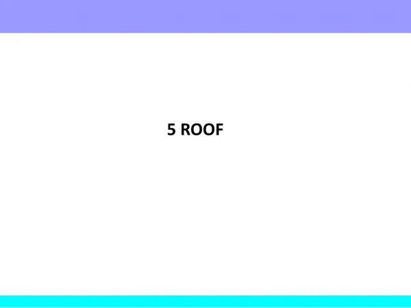 5 ROOF 1