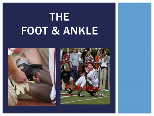 the foot &amp; ankle