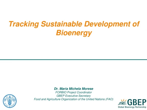 Tracking Sustainable Development of Bioenergy