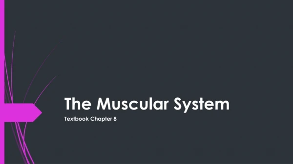 The Muscular System