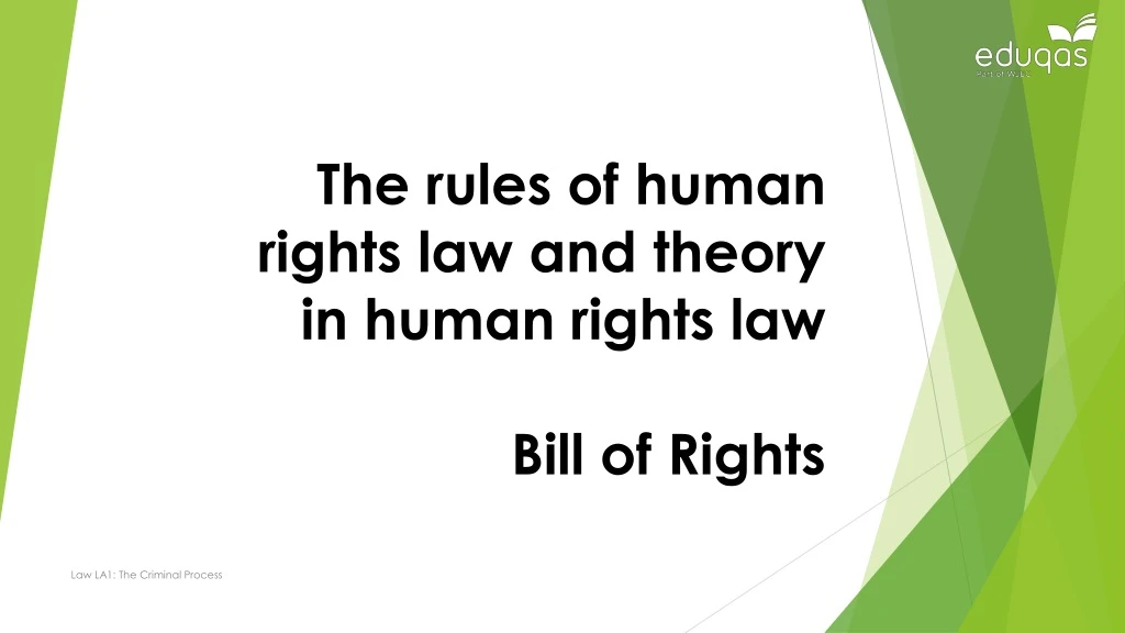 the rules of human rights law and theory in human rights law bill of rights