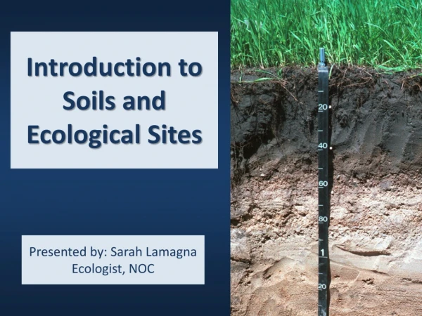 Introduction to Soils and Ecological Sites
