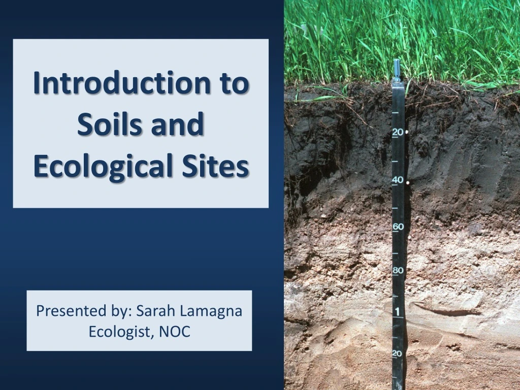 introduction to soils and ecological sites