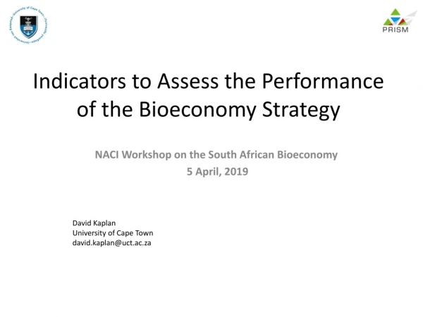 Indicators to Assess the Performance of the Bioeconomy Strategy