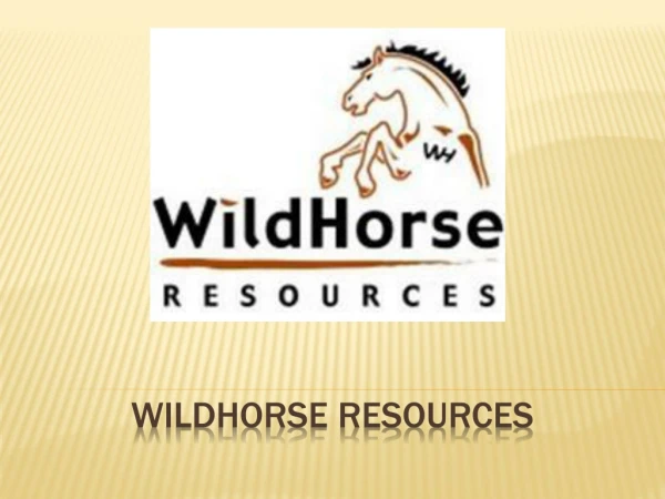 Wildhorse Resources