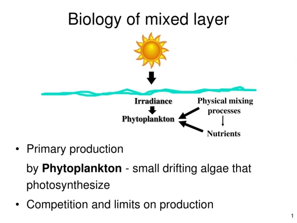 Biology of mixed layer