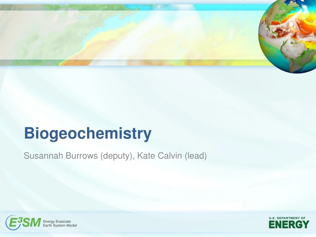 biogeochemistry