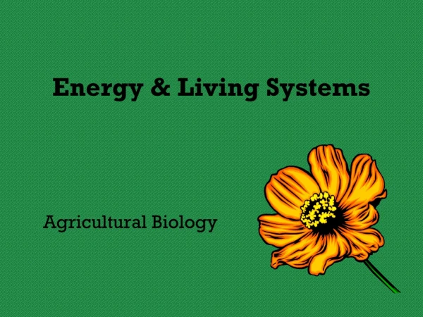 Energy &amp; Living Systems