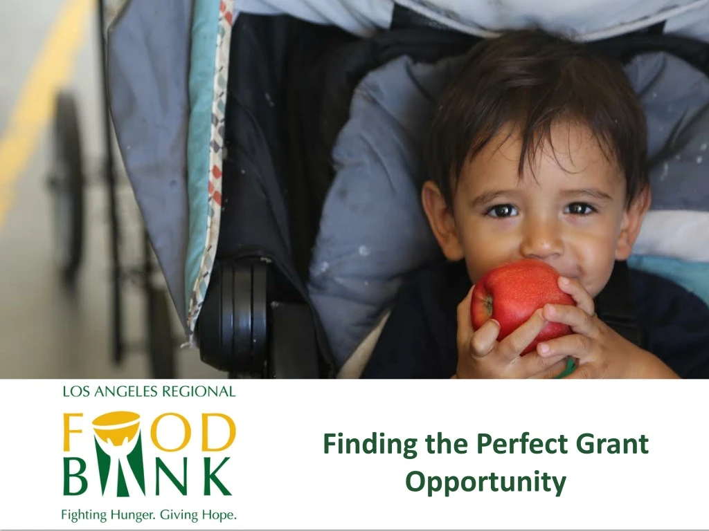 finding the perfect grant opportunity