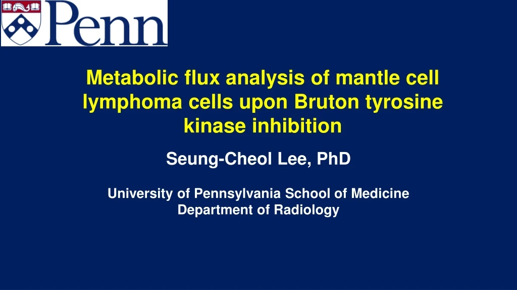 metabolic flux analysis of mantle cell lymphoma cells upon bruton tyrosine kinase inhibition