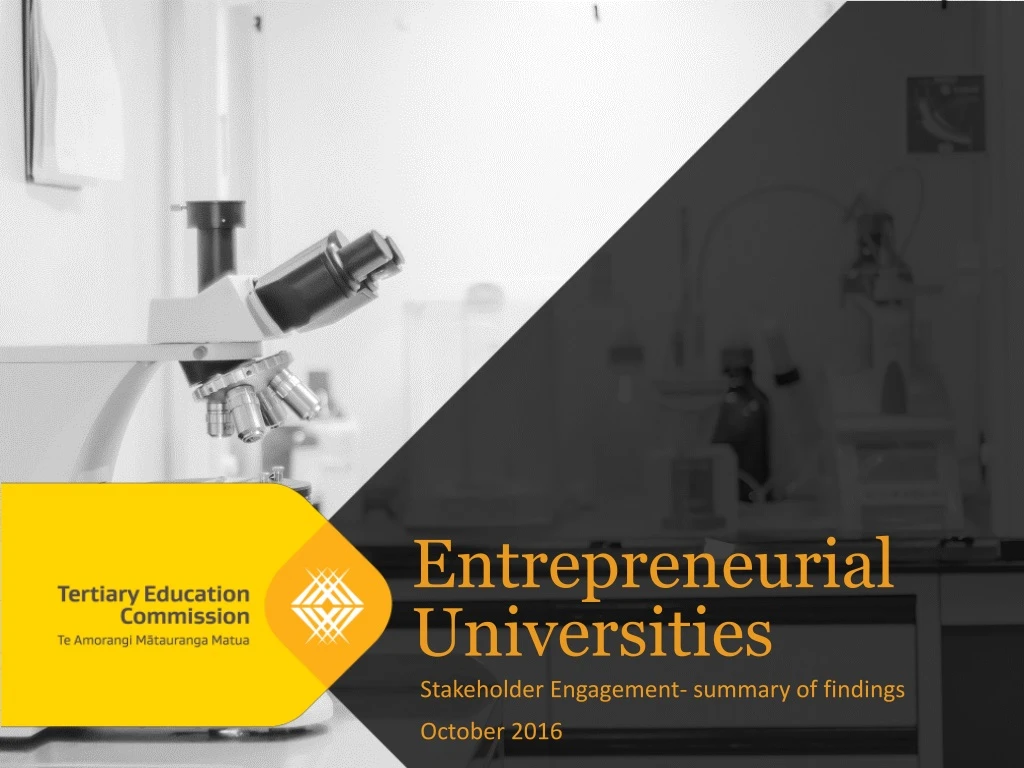 entrepreneurial universities